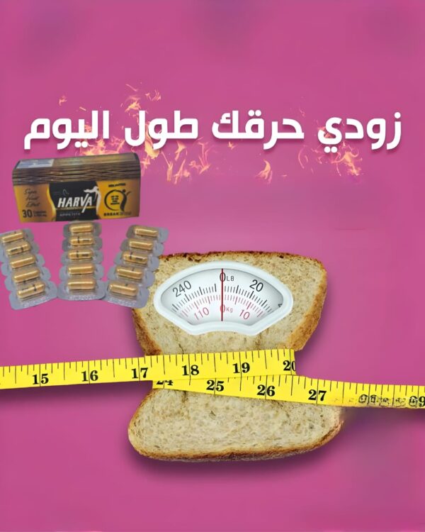 هارفا | Harva - Image 5