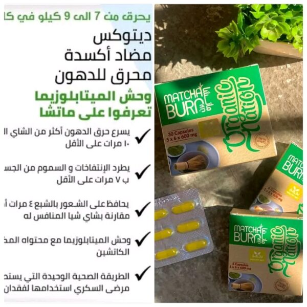 ماتشا برن | Matcha Burn - Image 4